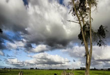 开云体育在线-日本男篮鏖战南韩男篮，萨博尼斯打破历史纪录——国际赛场的精彩瞬间与未来展望