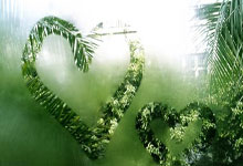 开云体育在线-荷兰碾压意大利，孙兴慜梅开二度，赛场激情点燃足球之魂