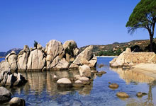 开云体育入口-印度羽毛球队险胜泰国羽毛球队，陶菲克制霸全场