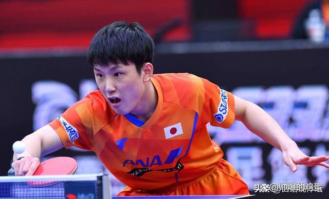 开云体育下载-关于德国乒乓球队绝杀韩国乒乓球队，张本智和关键制胜的信息