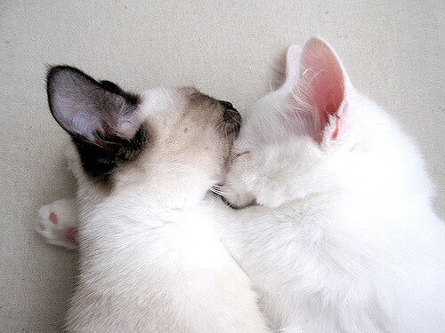 思维扩展，文章标题构思